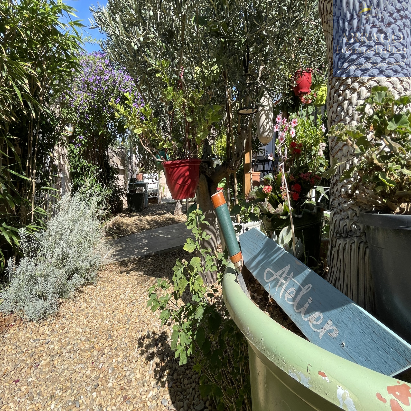 Image_, Maison, Valras-Plage, ref :359