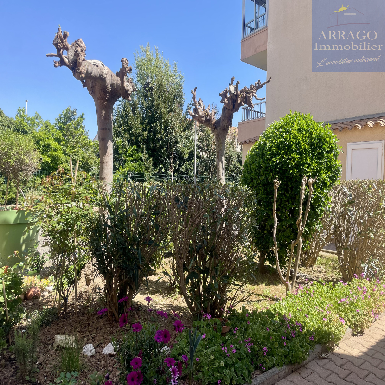Image_, Appartement, Valras-Plage, ref :107